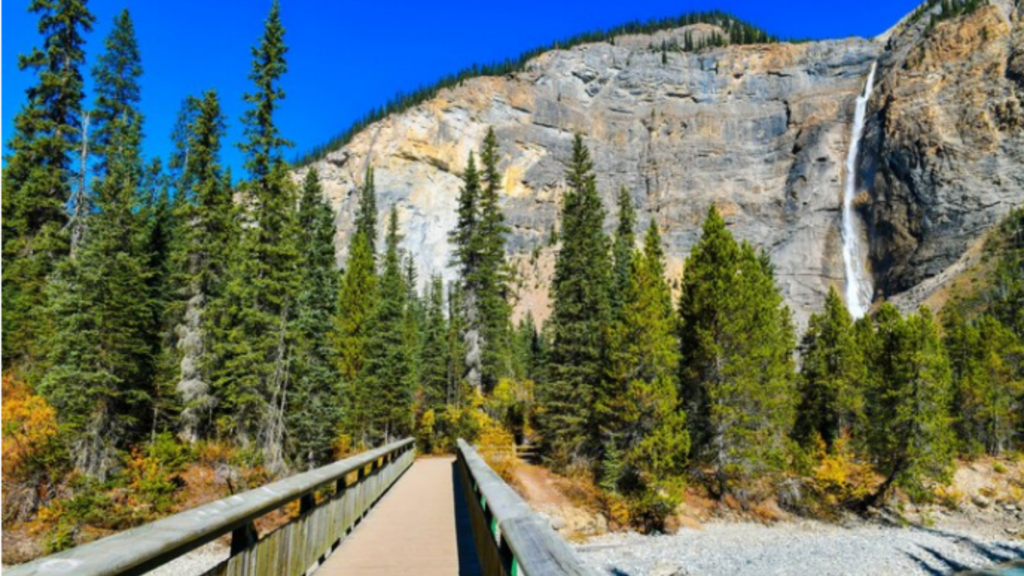 An image of Olympic National Park with a mountain peak and a forest and a bridge passing through it.