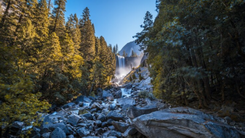 An image of Yosemite National Park with a forest from which a waterfall is passing from the middle.