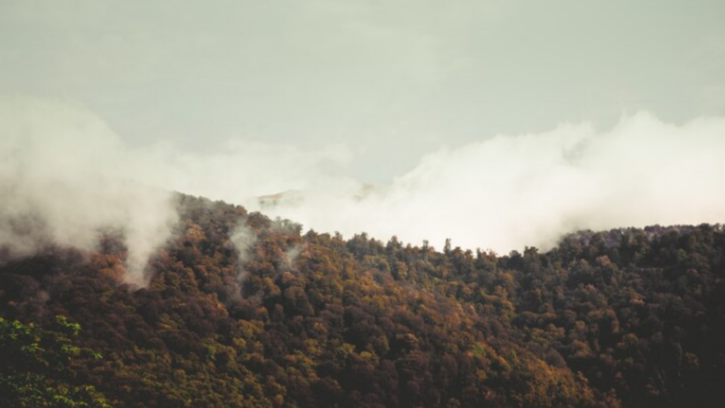 An image cloudy and smoky mountains with very thick forest and smog.